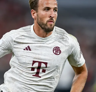 杨或莫兰特 杨或莫兰特